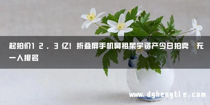 起拍价12.3亿!折叠屏手机鼻祖柔宇资产今日拍卖 无一人报名